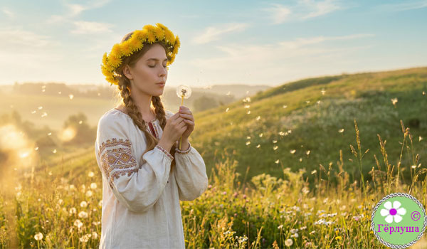 Девушка в славнской одежде на поле в венке дует на одуванчик